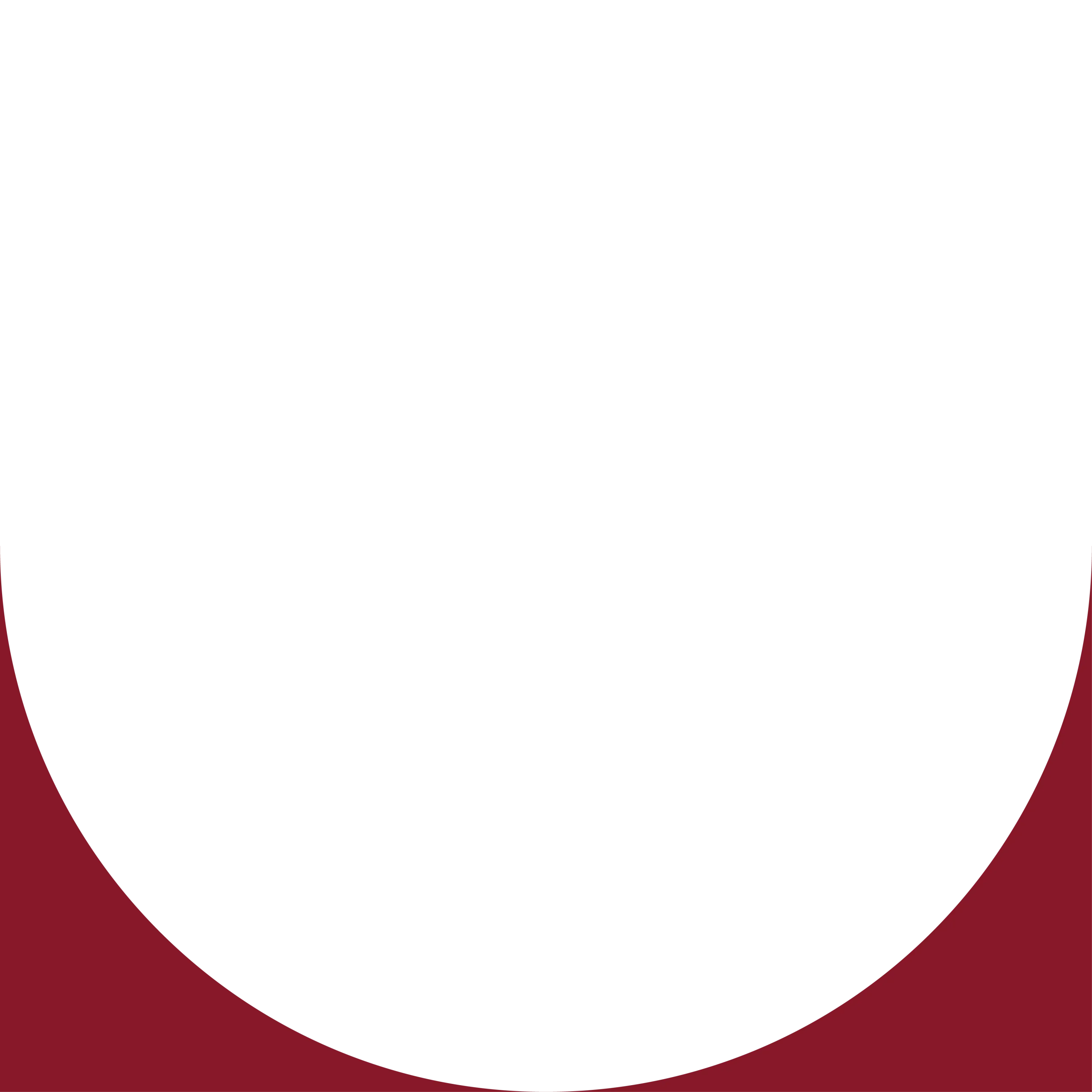Cerchio carosello 4